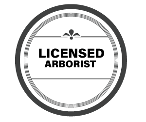 Licensed Arborist