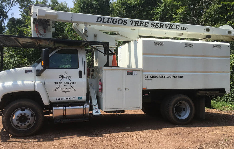 Dlugos Tree Service LLC Arborist Services