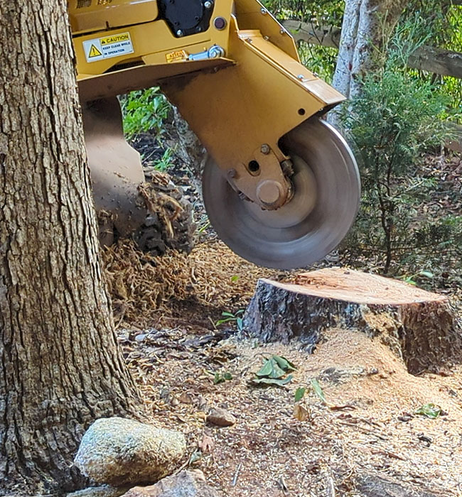 stump-removal-img